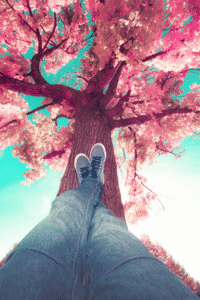 Rest Is Productive Too: The Science Behind Taking Breaks for Better Results