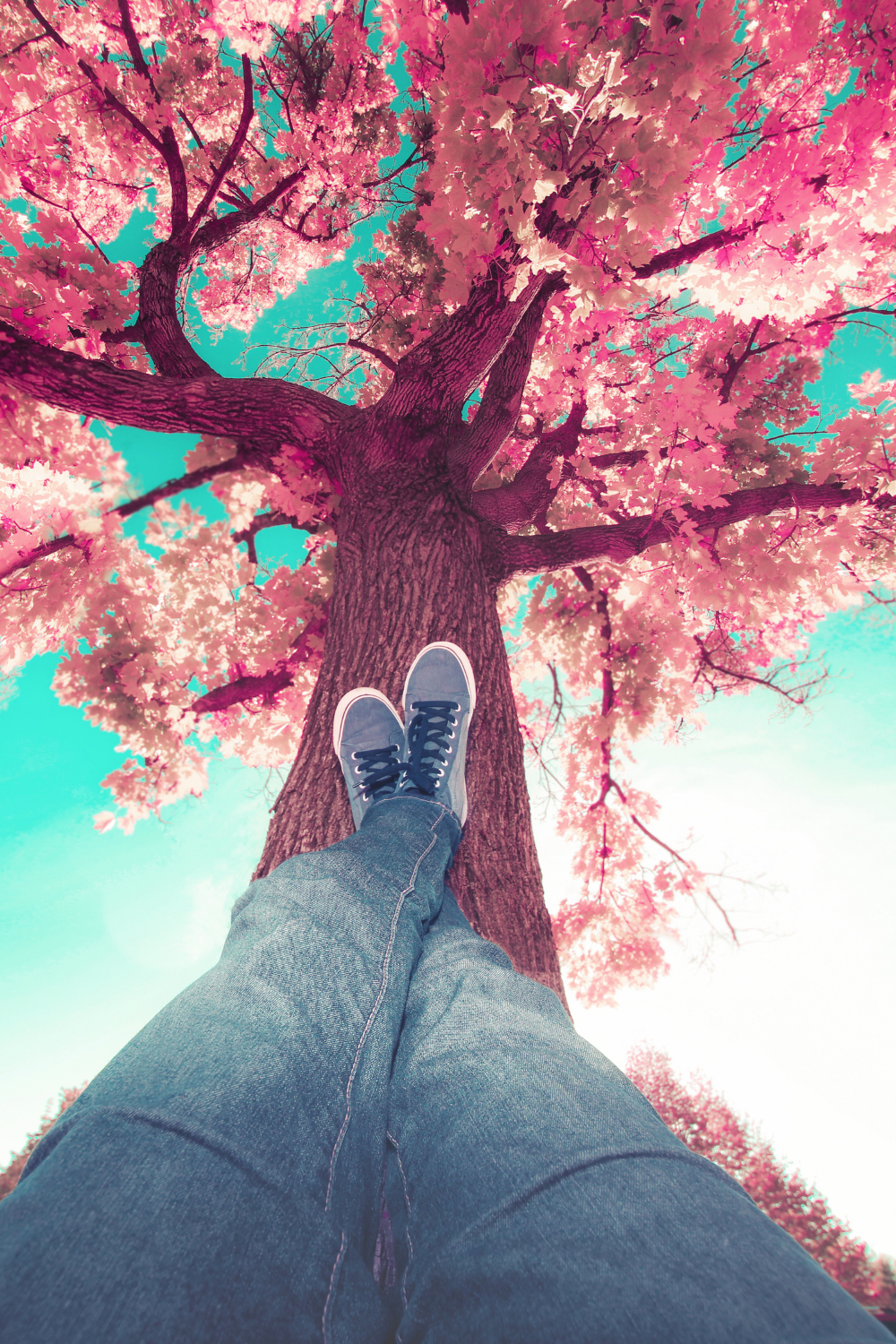 A relaxed person sitting peacefully in nature with soft sunlight filtering through trees, symbolizing balance between rest and productivity.