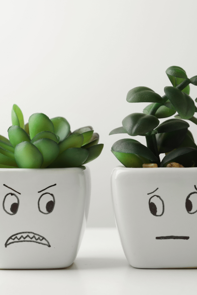 Emotional Intelligence